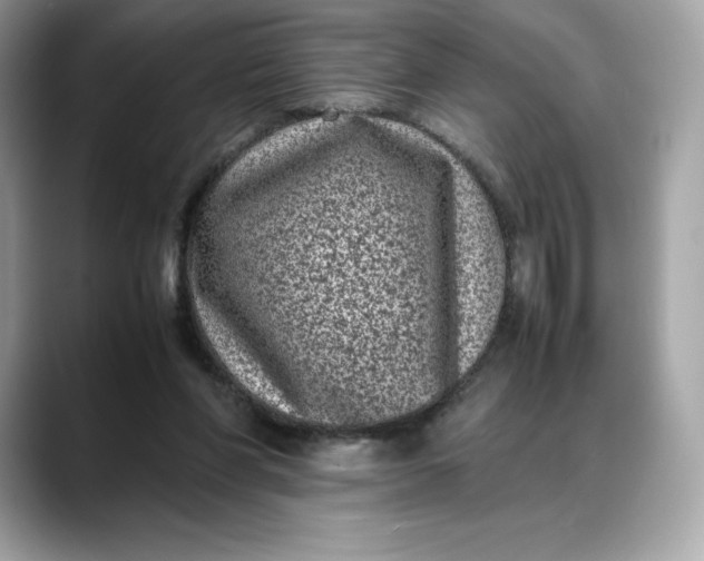 X0000088360206200706051029