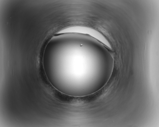 X0000088360207200706051029