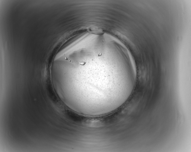 X0000088360208200706051029