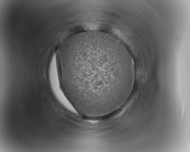 X0000088360209200706051029