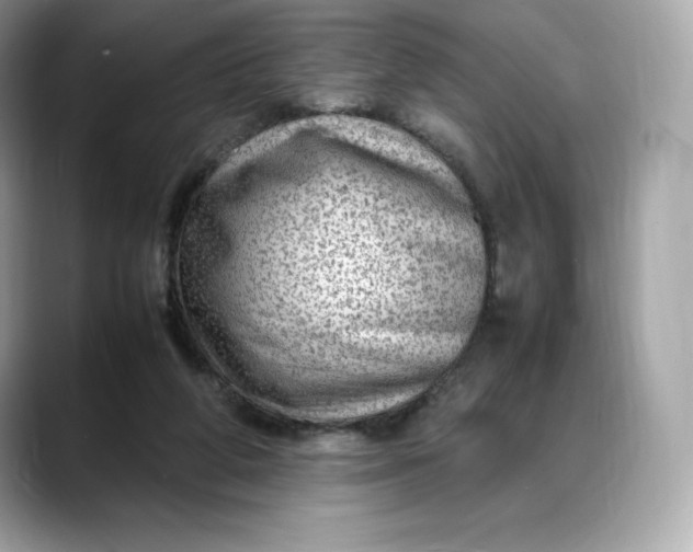 X0000088360210200706051029