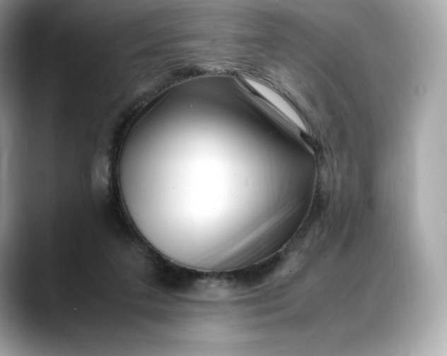 X0000088360211200706051029