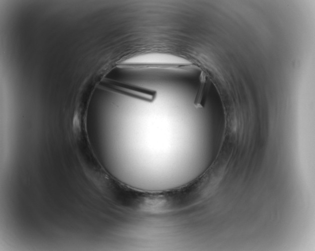 X0000088360214200706051029