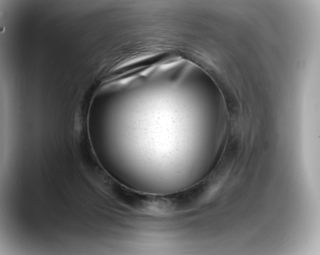 X0000088360215200706051029