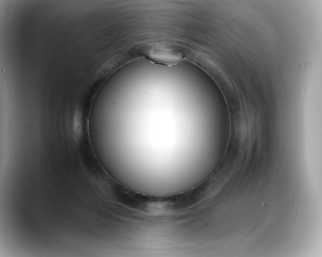 X0000088360216200706051029