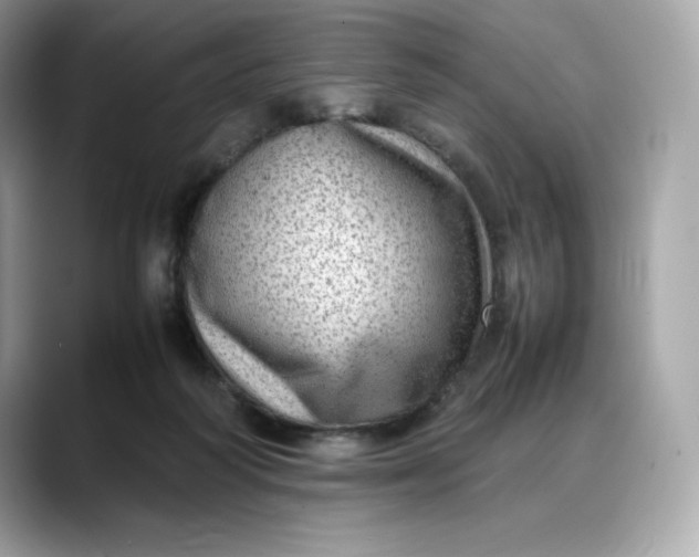 X0000088360218200706051029