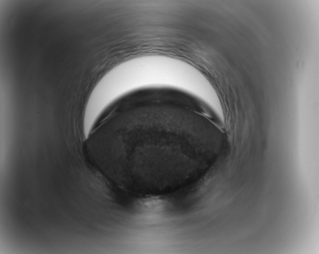 X0000088360219200706051029