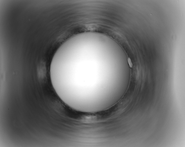 X0000088360220200706051029