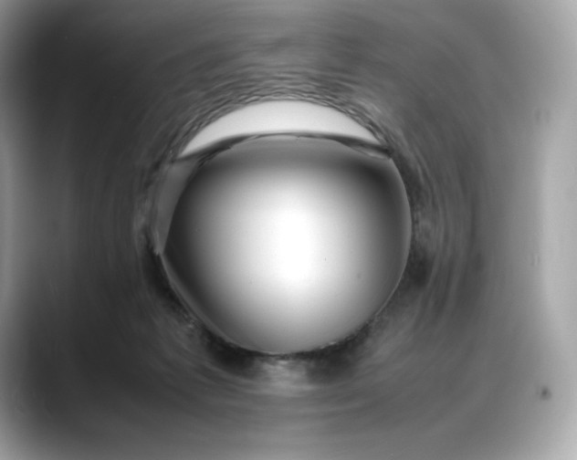 X0000088360221200706051029