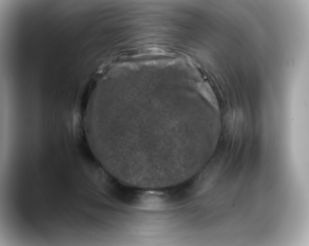 X0000088360222200706051029