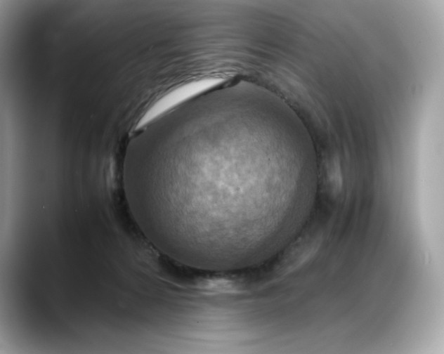 X0000088360224200706051029