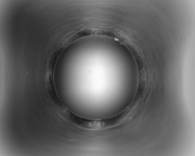 X0000088360225200706051029