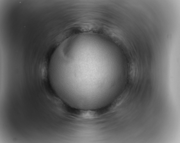 X0000088360226200706051029