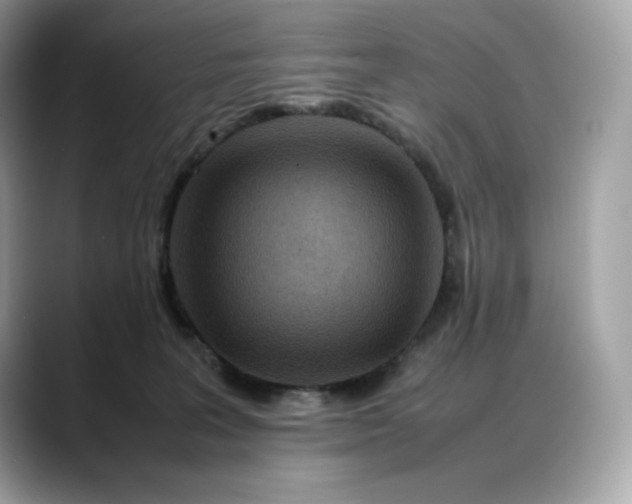 X0000088360227200706051029