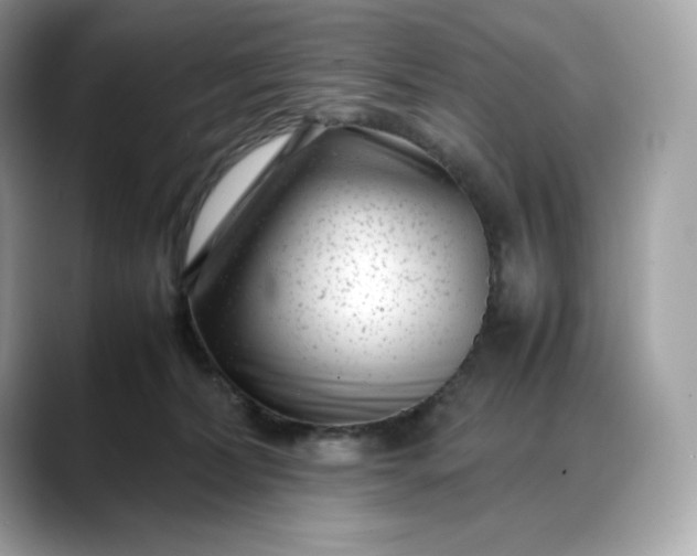 X0000088360228200706051029