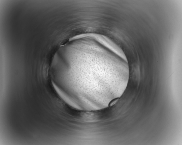 X0000088360230200706051029