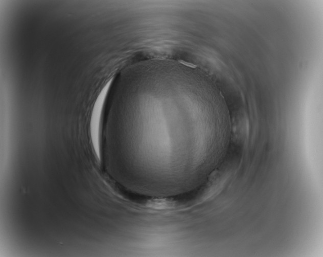 X0000088360231200706051029