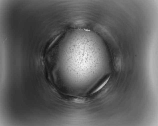 X0000088360232200706051029