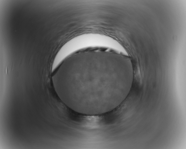 X0000088360233200706051029