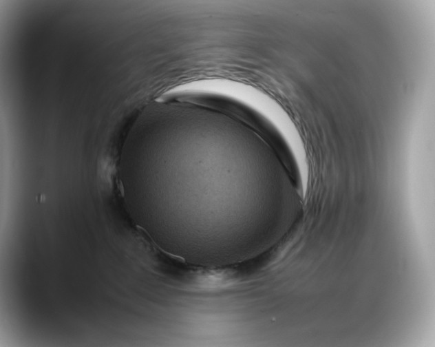 X0000088360235200706051029