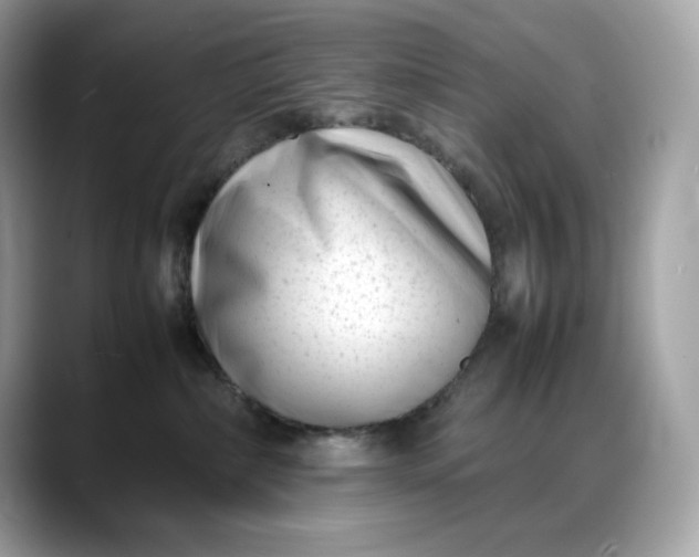 X0000088360236200706051029