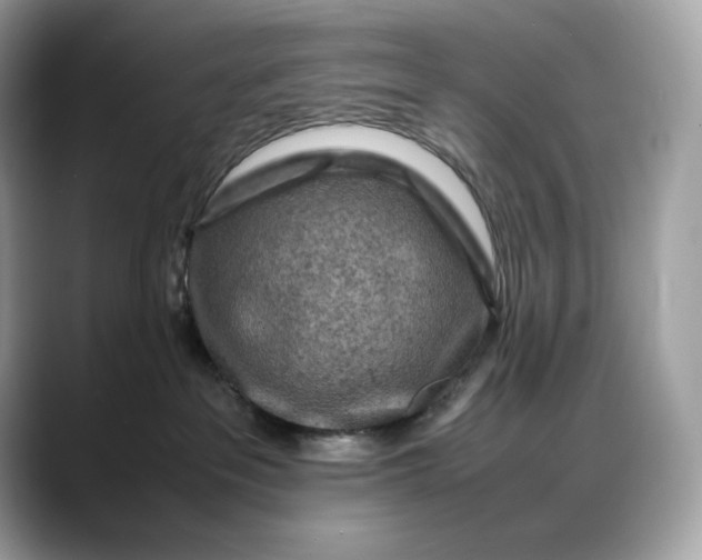 X0000088360237200706051029