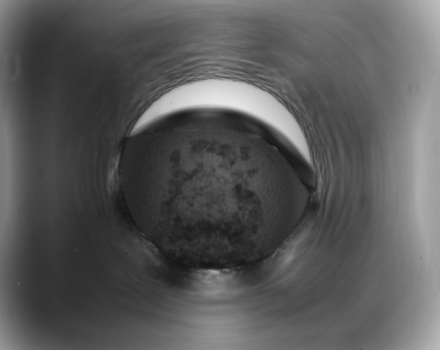 X0000088360239200706051029