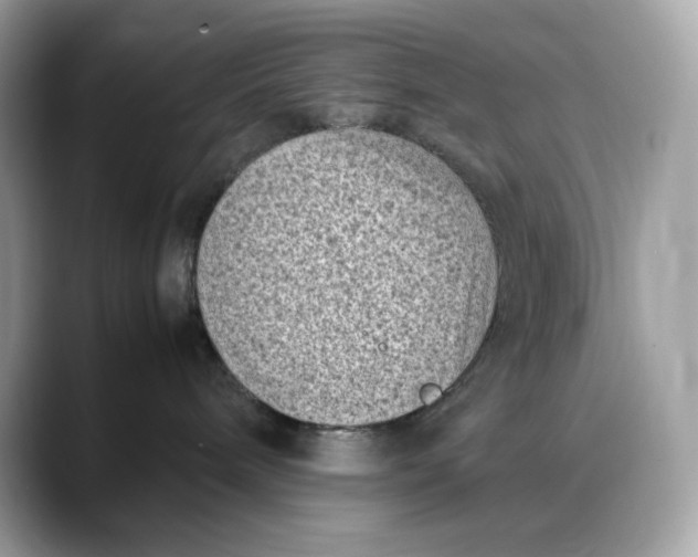 X0000088360240200706051029