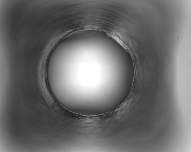 X0000088360241200706051028