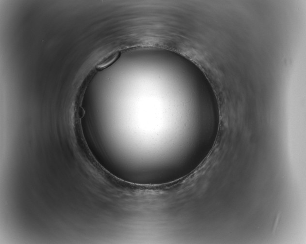 X0000088360242200706051028