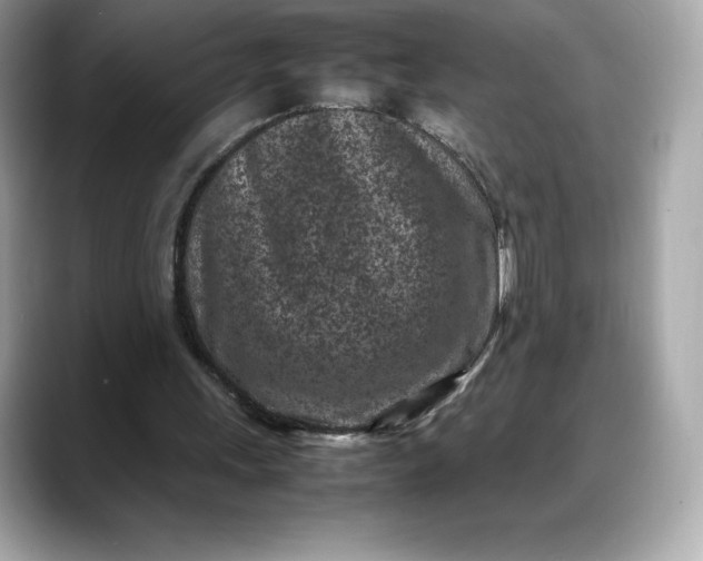 X0000088360243200706051028