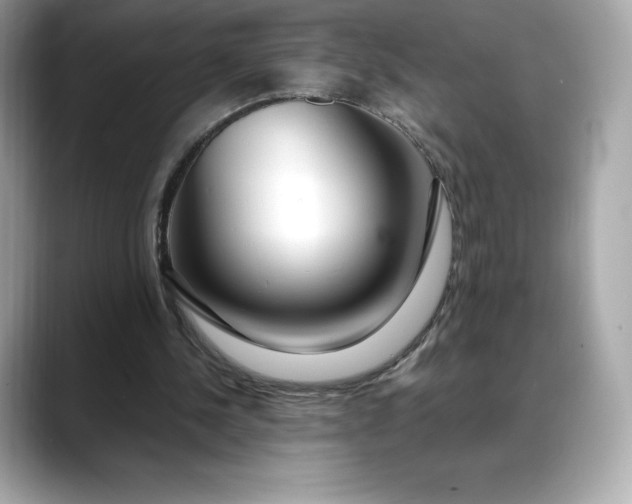 X0000088360244200706051028