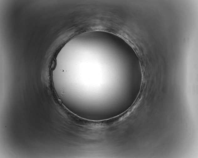 X0000088360245200706051028