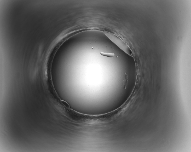 X0000088360246200706051028