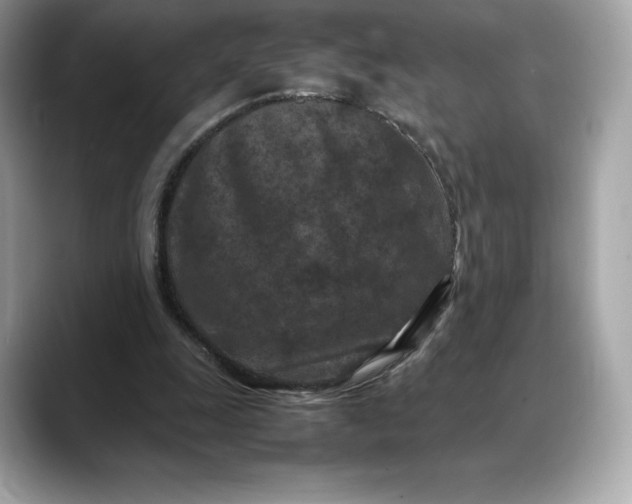 X0000088360247200706051028