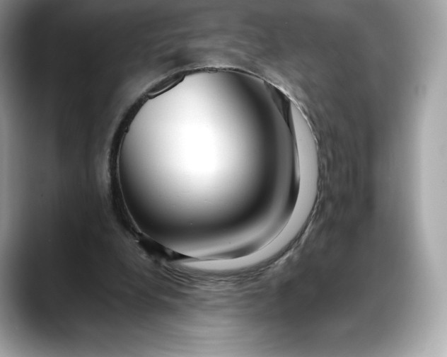 X0000088360248200706051028