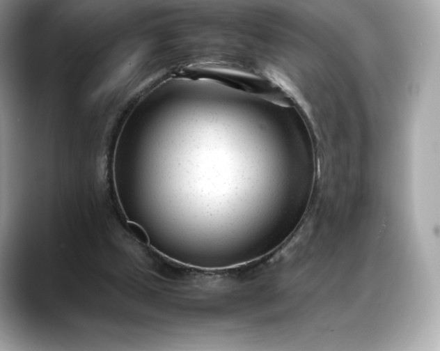 X0000088360249200706051028