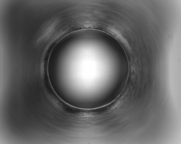 X0000088360250200706051028