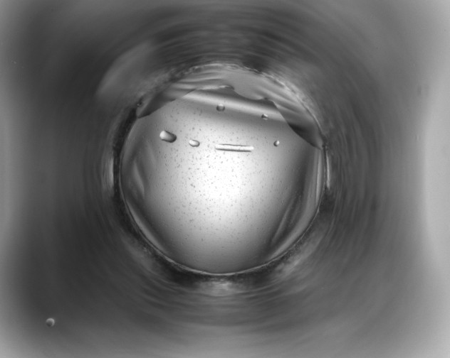 X0000088360253200706051028