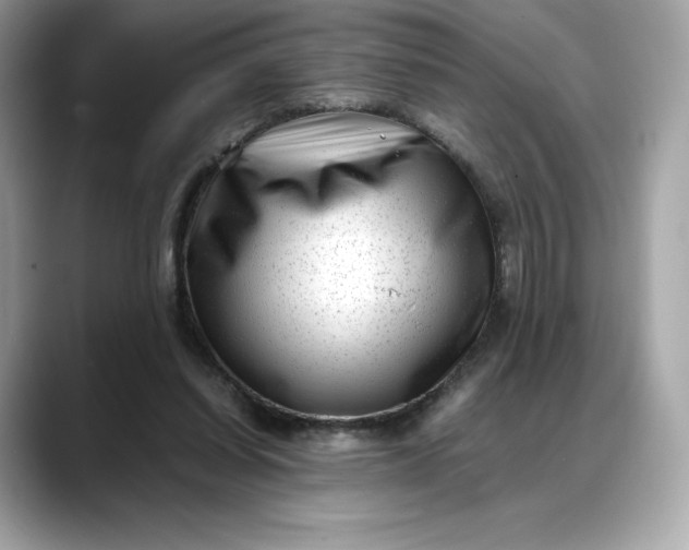 X0000088360254200706051028