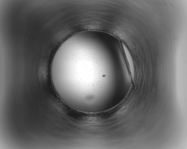 X0000088360255200706051028