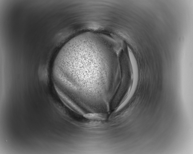 X0000088360256200706051028