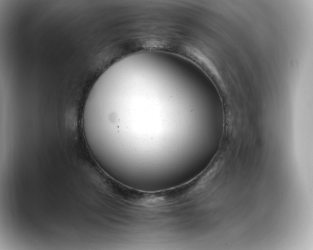 X0000088360257200706051028