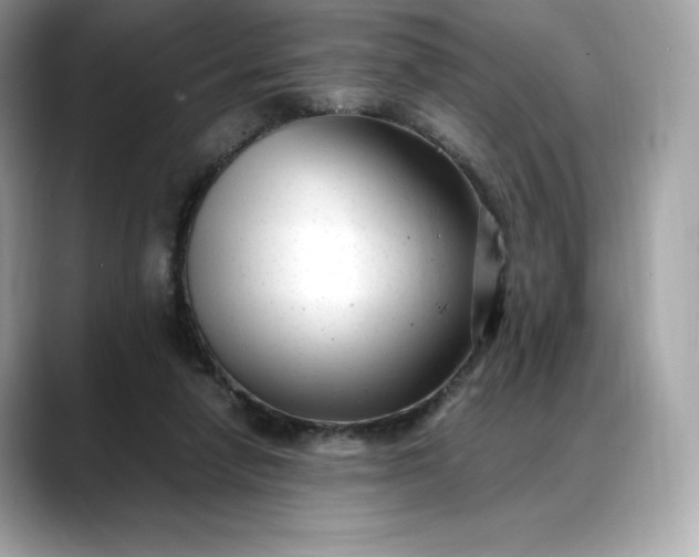 X0000088360258200706051028