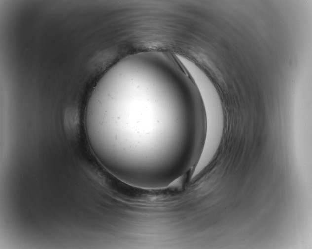 X0000088360260200706051028