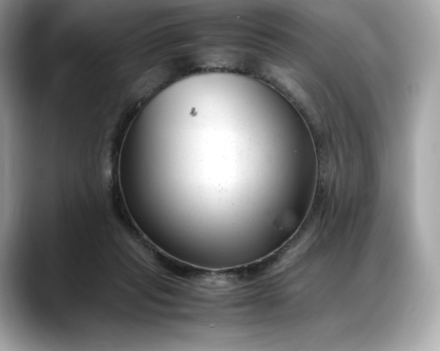 X0000088360261200706051028