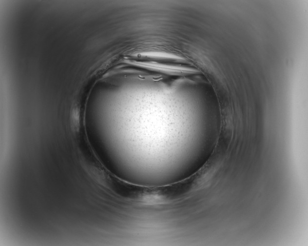 X0000088360262200706051028