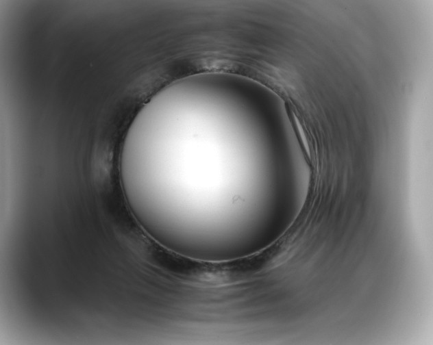 X0000088360263200706051028