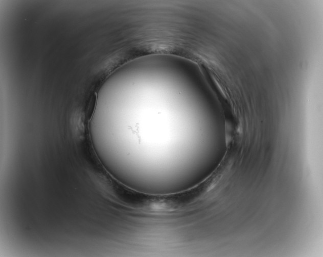 X0000088360264200706051028