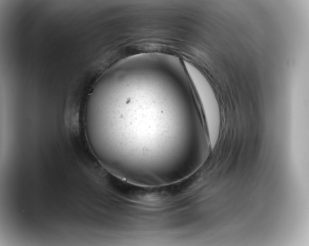 X0000088360267200706051028